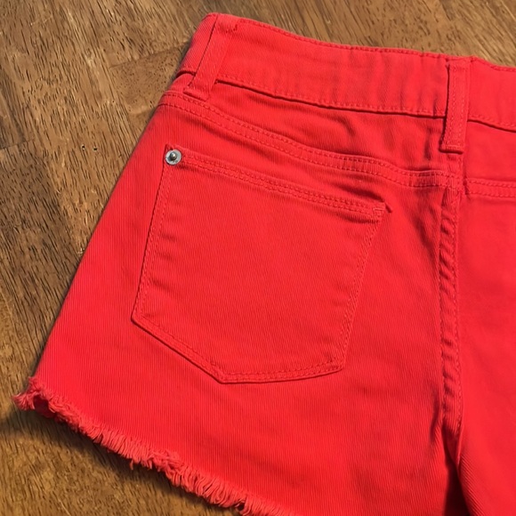 FRAYED 🐝🐝SHORTY SHORTS - Picture 2 of 13